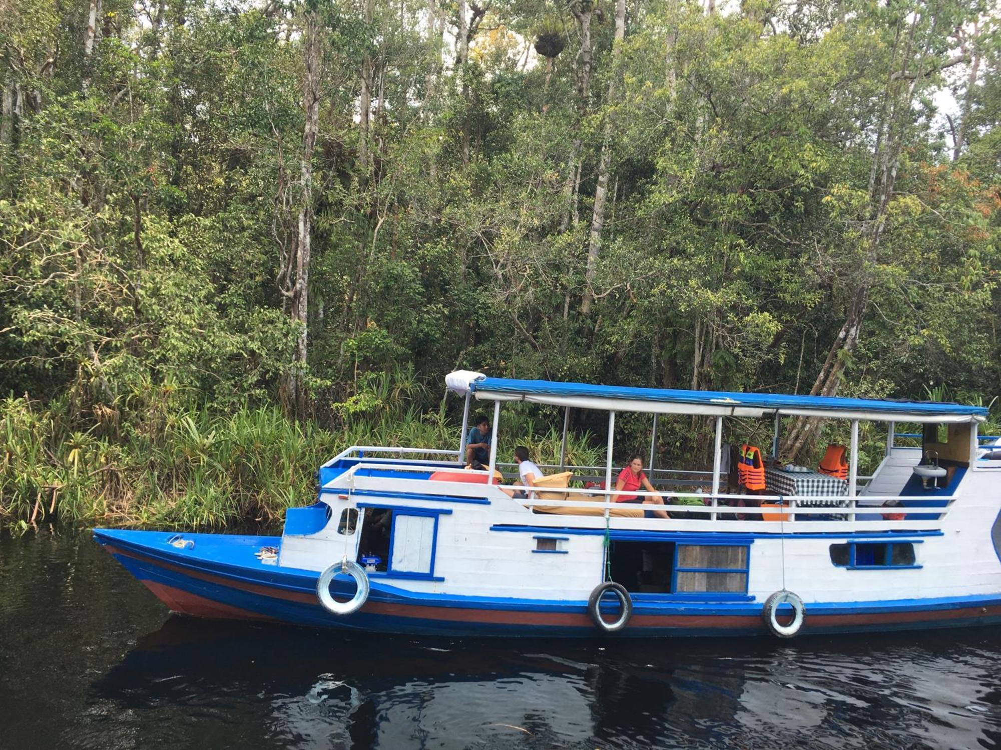 פאנגקלאן בון Orangutan Shaka Houseboat With Cabin מראה חיצוני תמונה