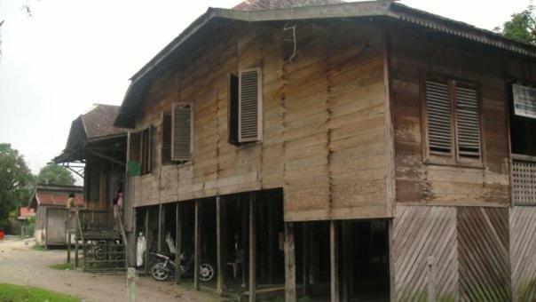 פאנגקלאן בון Orangutan Shaka Houseboat With Cabin מראה חיצוני תמונה