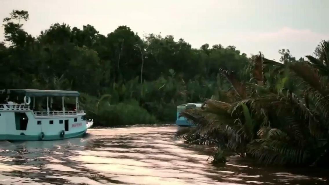 פאנגקלאן בון Orangutan Shaka Houseboat With Cabin מראה חיצוני תמונה