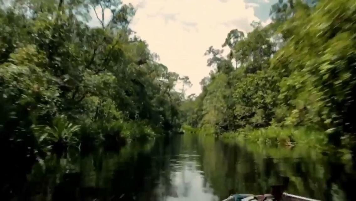 פאנגקלאן בון Orangutan Shaka Houseboat With Cabin מראה חיצוני תמונה